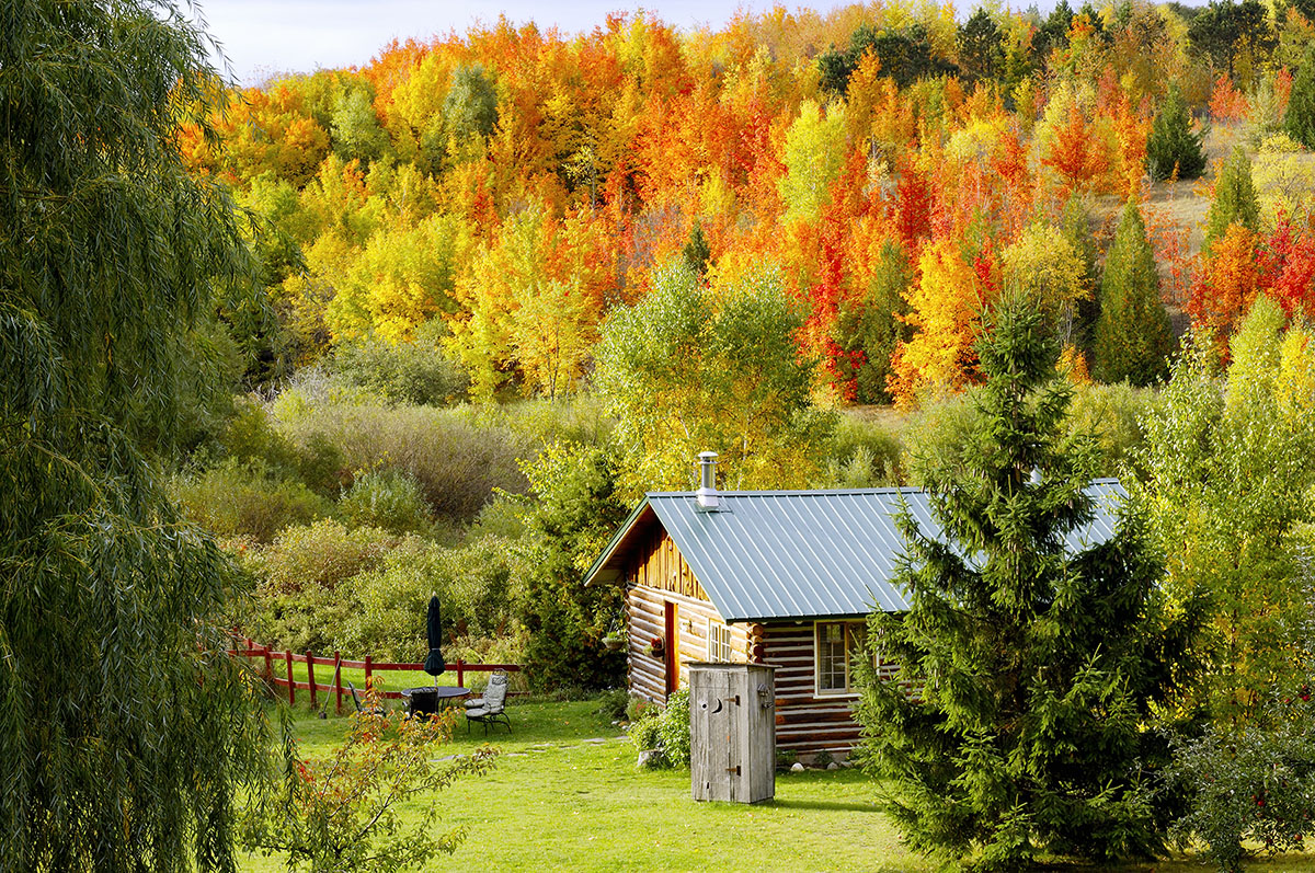 Century Farm Log Cabin In Fall